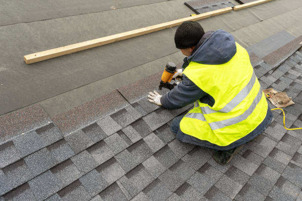 Roof Gutter Cleaning in Maynardville, TN