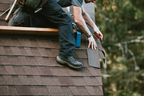 Best Roofing Contractors for Homes  in Maynardville, TN